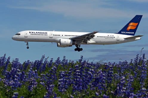 An airplane flying over blue lupine flowers.