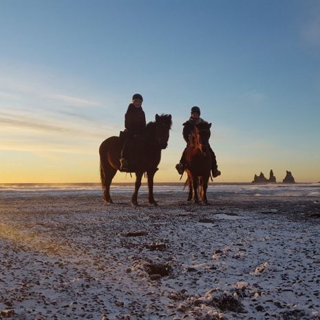 Balade à cheval sur une plage de sable noir dans le sud de l'Islande